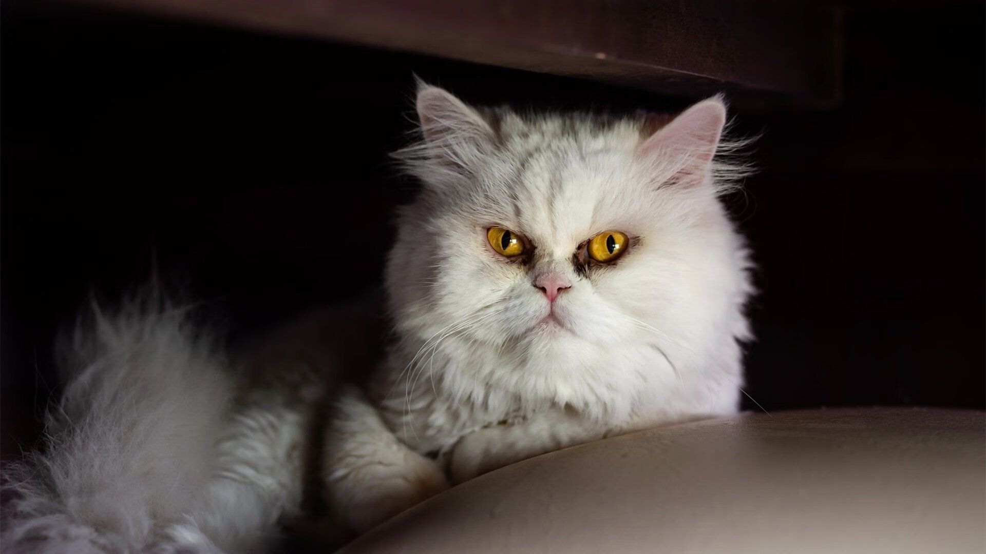 关键先生杜兰特一锤定音，尼克斯精妙节奏掌控锁定胜局